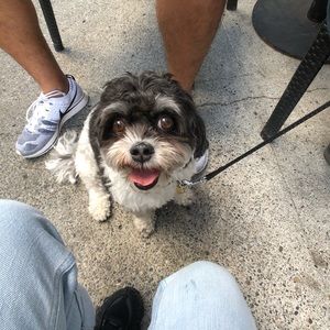 Meet your Posher, Camille